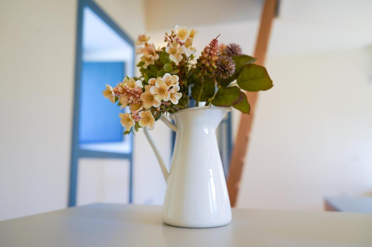Apartamento Cellorico De Sabores